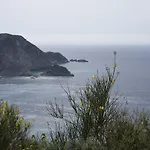 Panas