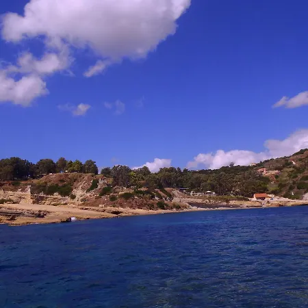 Panas Σπαρτιά